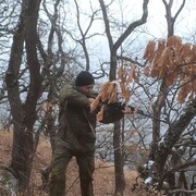 ���������� ����������, ���� ������� �������, 41 ���, ������������ ��� ������, ����� � ���������