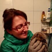 ���������� �����-���������, ���� ������� �����, 55 ���, ������������ ��� ����� � ���������