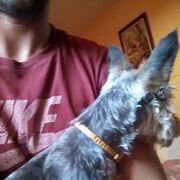  Praha,   Atanas, 34 ,   ,   , c 