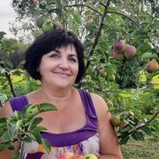 ���������� �������, ���� ������� ������, 59 ���, ������������ ��� c�������� ���������