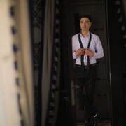 ���������� ������, ���� ������� Maruf, 32 ����, ������������ ��� ������, ����� � ���������