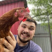 ���������� ����������, ���� ������� �����, 33 ����, ������������ ��� ������, ����� � ���������, c�������� ���������, ���������