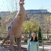 ���������� �����������, ���� ������� �����, 38 ���, ������������ ��� ���������