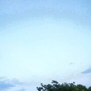 ���������� �������, ���� ������� ����, 29 ���, ������������ ��� ������, ����� � ���������, c�������� ���������