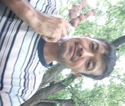  ,   Amal, 50 ,   ,   , c 