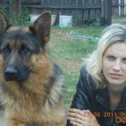 ���������� ���������, ���� ������� �������, 39 ���, ������������ ��� ����� � ���������, c�������� ���������