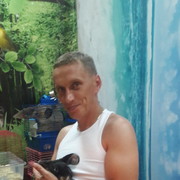  ,   , 44 ,   