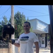 ���������� �����, ���� ������� ����, 30 ���, ������������ ��� ������, ����� � ���������, c�������� ���������, ���������