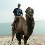  ,   Ahmad, 61 ,     , c 