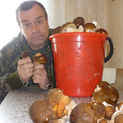 ���������� ���������, ���� ������� �����, 65 ���, ������������ ��� ������, ����� � ���������, c�������� ���������