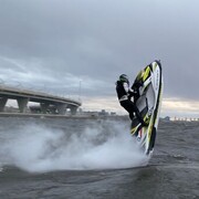 ���������� �����-���������, ���� ������� �����, 36 ���, ������������ ��� ������, ����� � ���������