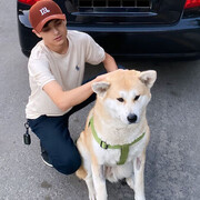 ���������� �������, ���� ����� ������, 25 ���, ������������ ��� ������, ����� � ���������