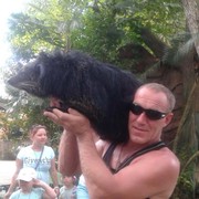 ���������� �������, ������� ������, 53