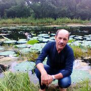 ���������� ���������, ���� ������� �������, 56 ���, ������������ ��� ������, ����� � ���������