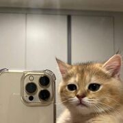  ,  , 20