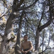  ,   , 45 ,   