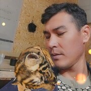 ���������� ������, ���� ������� ��������, 38 ���, ������������ ��� ������, ����� � ���������