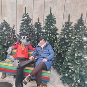  ,   , 37 ,   ,   , c , 