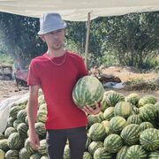 ���������� �������, ���� ������� ������, 38 ���, ������������ ��� ������, ����� � ���������, c�������� ���������, ���������