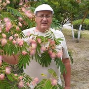 ���������� ������������, ���� ������� ��������, 65 ���, ������������ ��� ������, ����� � ���������