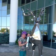 ���������� ���������, ���� ������� ��������, 46 ���, ������������ ��� ������, ����� � ���������