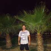 ���� 2020�