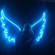 ���������� �����������, ���� ������� ��������, 28 ���, ������������ ��� ������, ����� � ���������, c�������� ���������, ���������