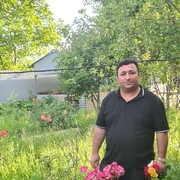 ���������� ���������, ���� ������� ����, 38 ���, ������������ ��� ������, ����� � ���������, c�������� ���������