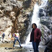  ,   Alisa, 52 ,     , c 