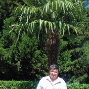  ,   , 63 ,   