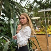  --,   , 23 ,   ,   