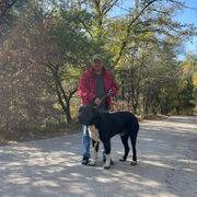 ���������� ��������, ������� ����, 53