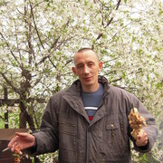  ,   , 44 ,   