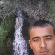  ,  Lion, 35