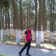  ,   PERVIN, 33 ,   ,   , c 