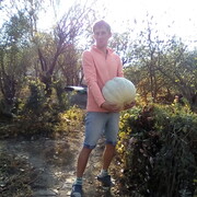 ���������� ����������, ���� ������� ���������, 40 ���, ������������ ��� ����� � ���������, c�������� ���������