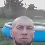  ,   , 44 ,  