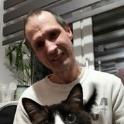  -,   , 48 ,   ,   , c 