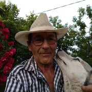  ,   , 59 ,   ,   