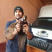  ,   Zayni, 37 ,   