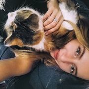  ,   , 26 ,   c 