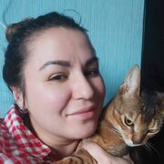 ���������� ����������, ���� ������� �����, 38 ���, ������������ ��� ������, ����� � ���������, c�������� ���������