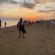 ���������� �����, ���� ������� �������, 30 ���, ������������ ��� ������, ����� � ���������