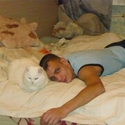  ,    , 44 ,   ,   , c , 