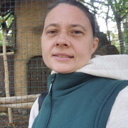  ,   , 39 ,   c , 