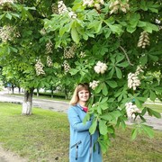  ,   Helen, 39 ,   ,   , c 