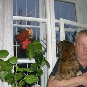  ,   Tolya, 70 ,   ,   , c 