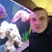 ���������� ������, ���� ������� ������, 29 ���, ������������ ��� ������, ����� � ���������, c�������� ���������, ���������