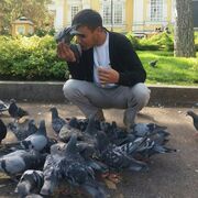 ���������� �������, ���� ������� ��������, 33 ����, ������������ ��� ������, ����� � ���������