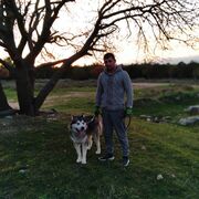 ���������� ����� �������, ������� ��������, 36